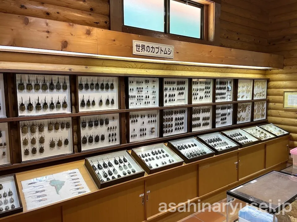 昆虫館 内観